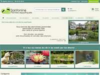 Plantes d'eau et de berges - Santonine - Plantes aquatiques